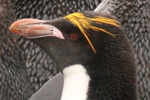 Klik hier voor meer...